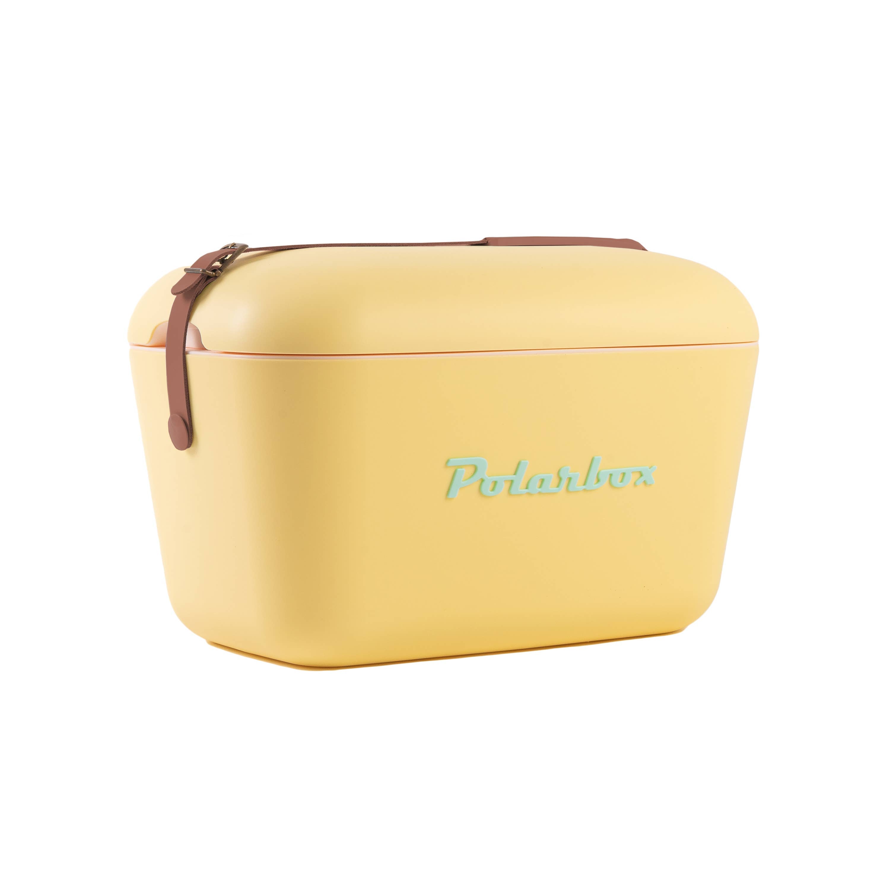 Glacière Polarbox 20 L, pique-nique de plage, été, rétro: Violet orange
