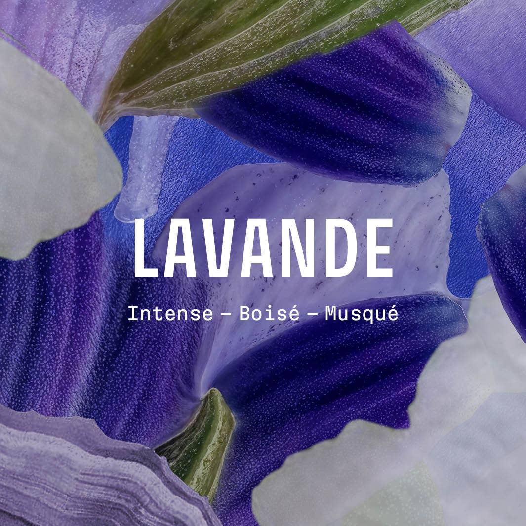Savon Liquide 500ml | Lavande Iconique