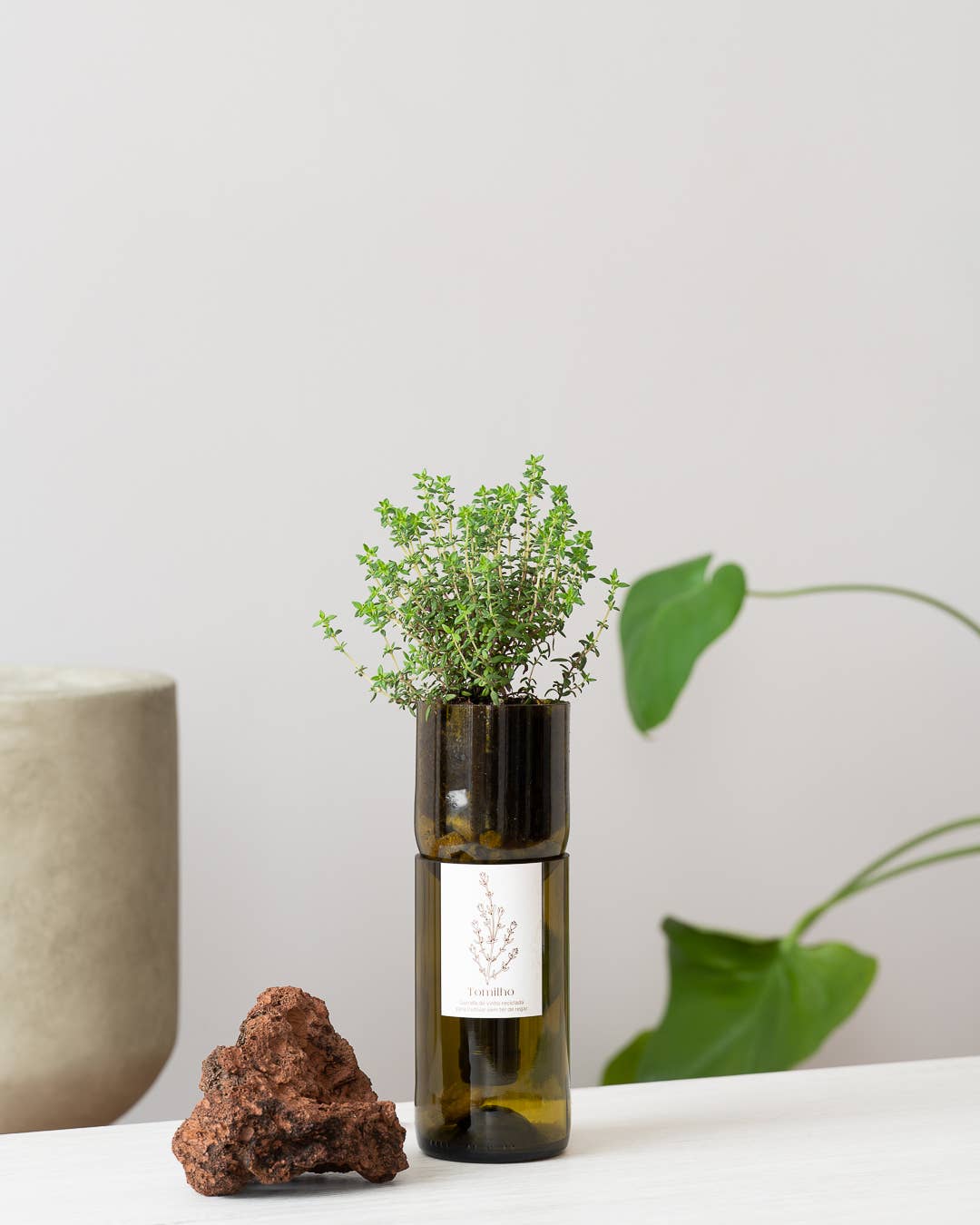 Grow Bottle Thym