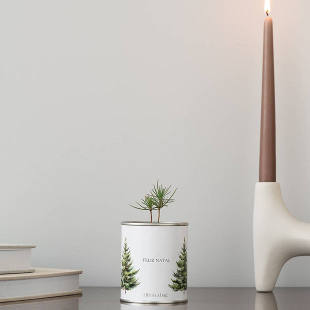 Jardin en boîte de conserve "Joyeux Noël" avec pin.