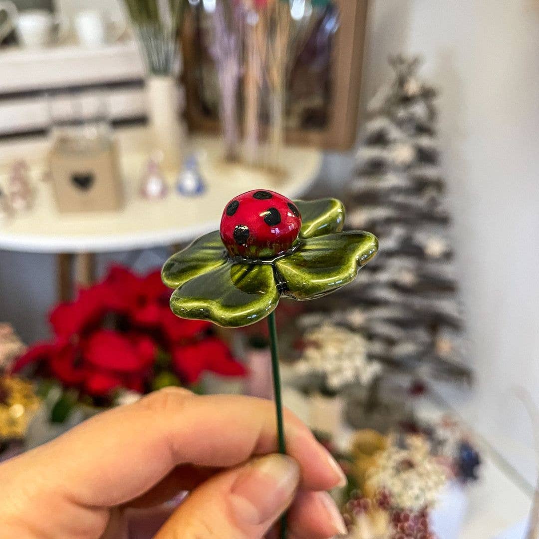 Coccinelle porte-bonheur sur une feuille de trèfle