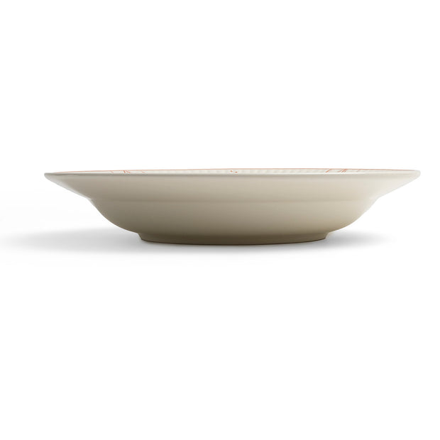 ASSIETTE CREUSE 24.5CM -ROYAL BOCH COPENHAGUE CORAL ROSE