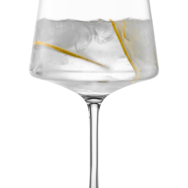 Gin Tonic ECHO