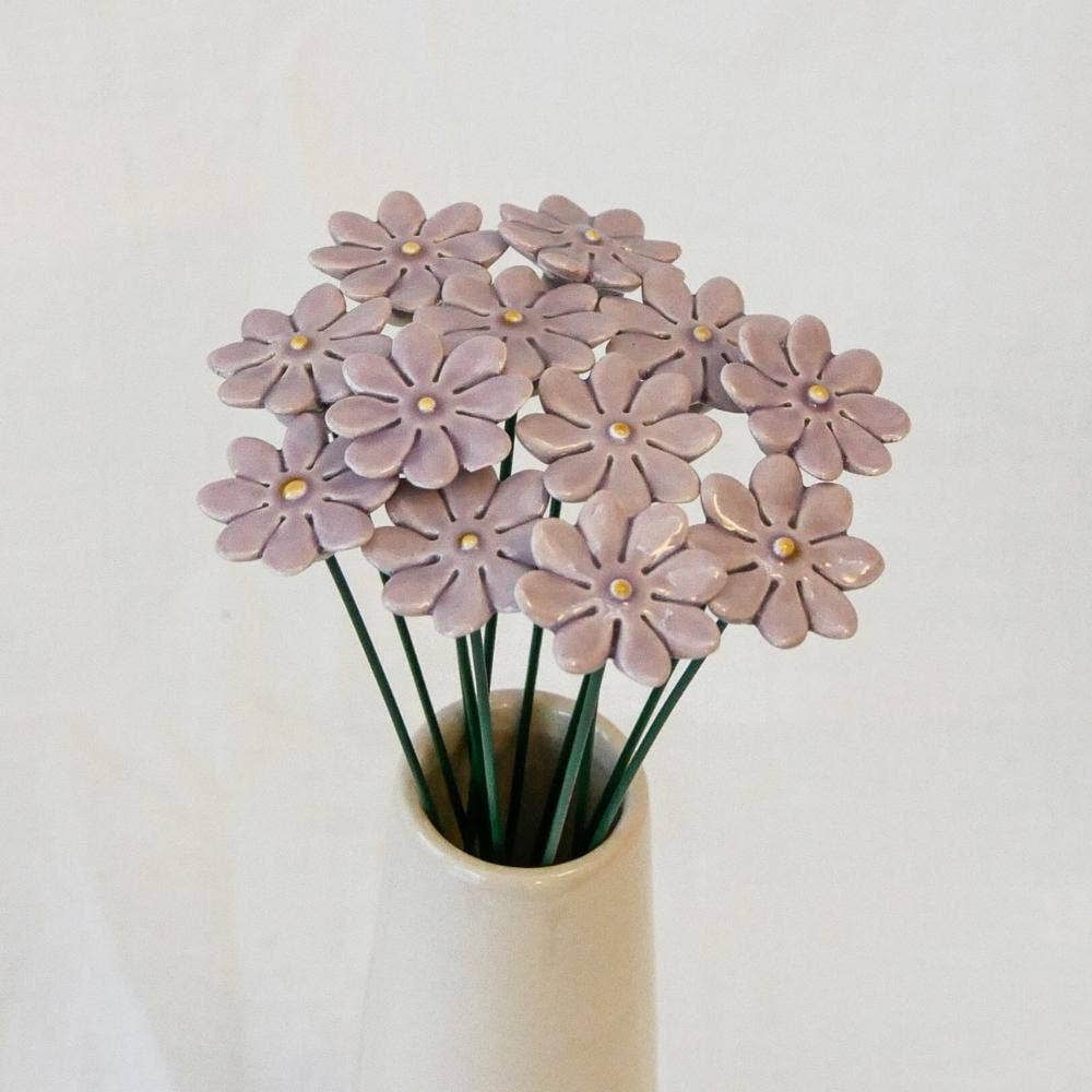 Marguerite petite: Pourpre