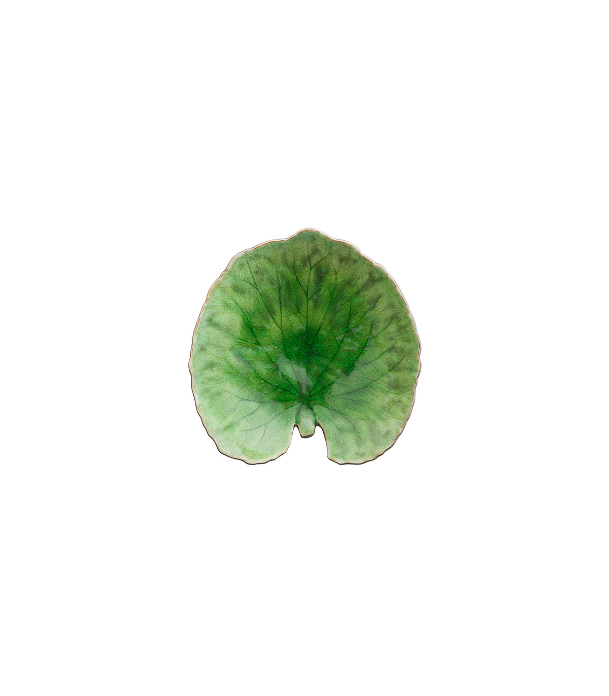 FEUILLE D’ALCHÉMILLE 18CM - COSTA NOVA