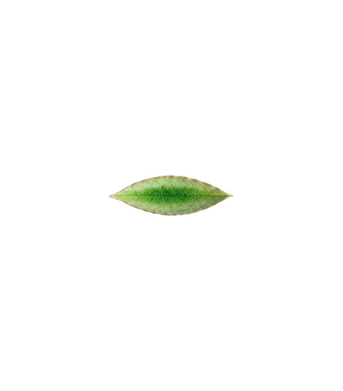 FEUILLE DE LAURIER 18CM
