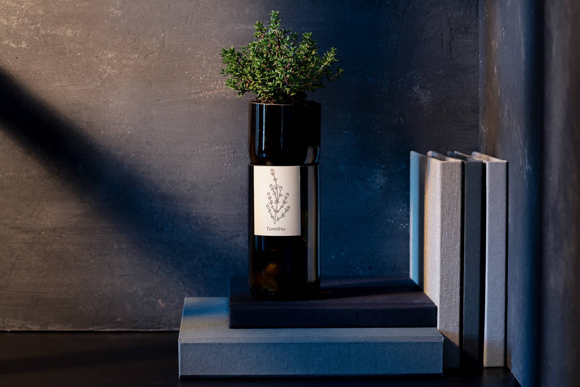 Grow Bottle Thym