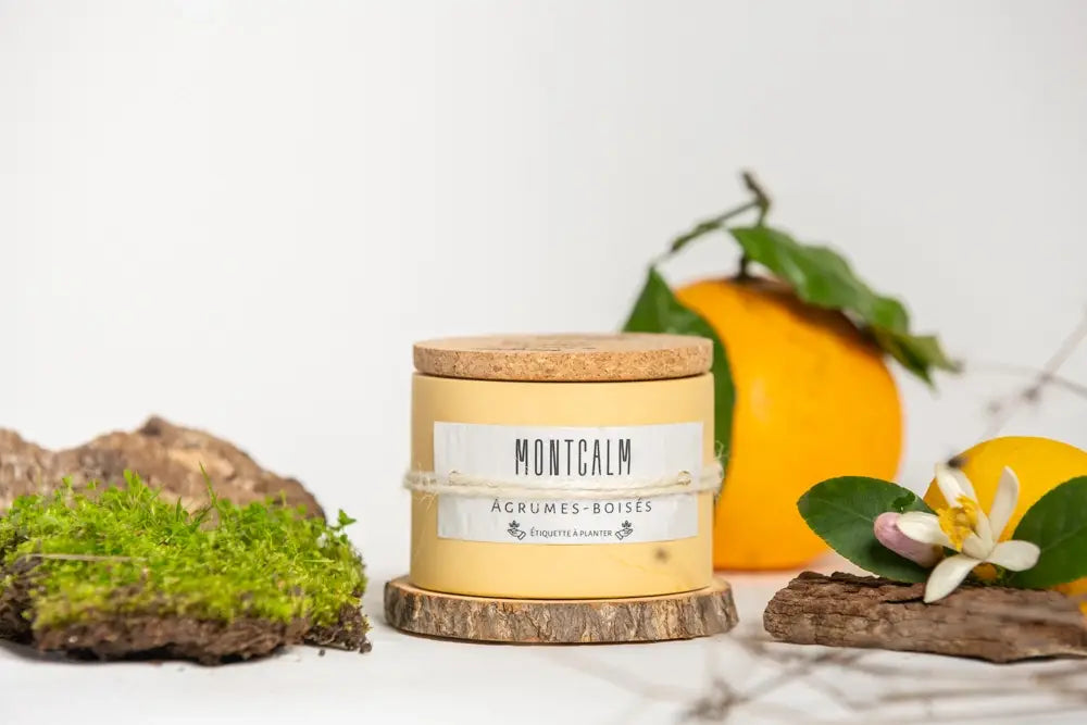 CITÉ DES EAUX (Gingembre Miel)Artisanales & Naturelles | 30h | Jaune