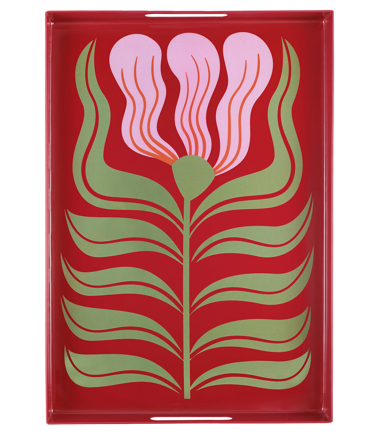 PLATEAU ROUGE RITUALI DOMESTICHI