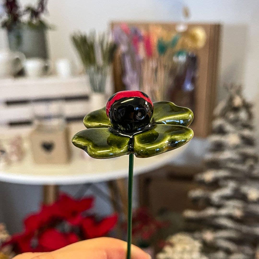 Coccinelle porte-bonheur sur une feuille de trèfle