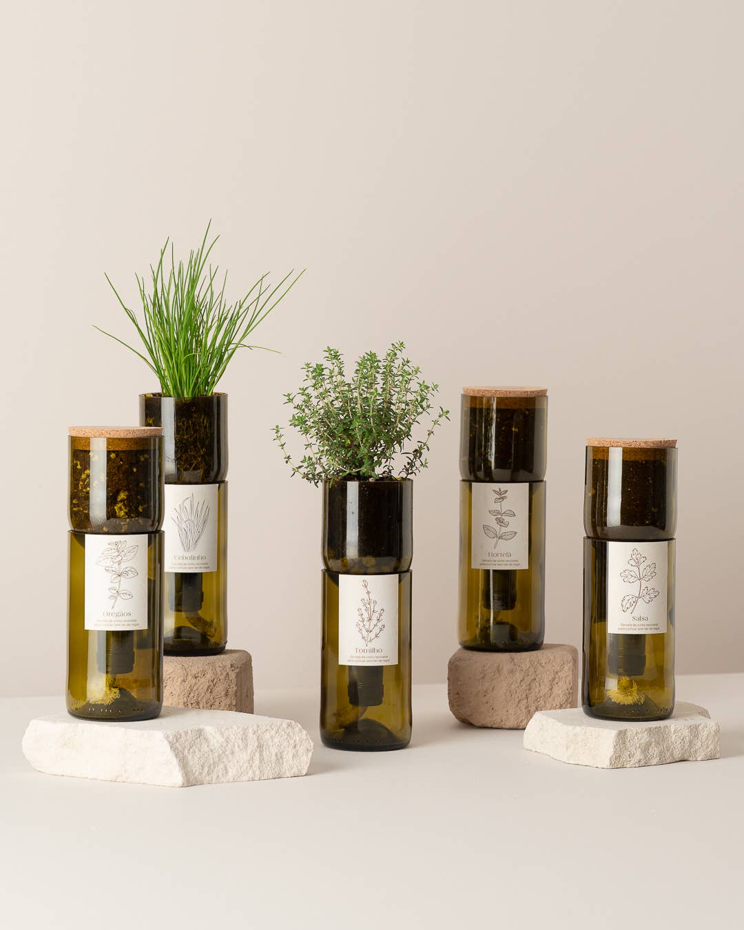 Grow Bottle Ciboulette