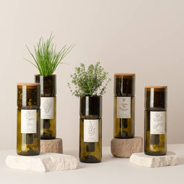 Grow Bottle Ciboulette