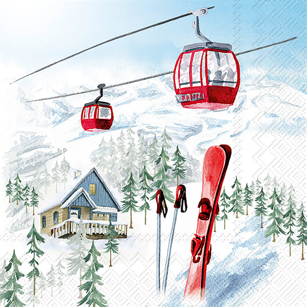 SERV. LUNCH MIX - SNOWY HOLIDAYS