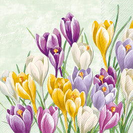 Serviettes Fleurs de Crocus