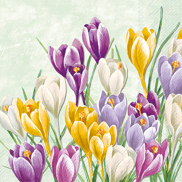 Serviettes Fleurs de Crocus
