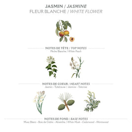 Savon liquide de Marseille 500 ml | Jasmin