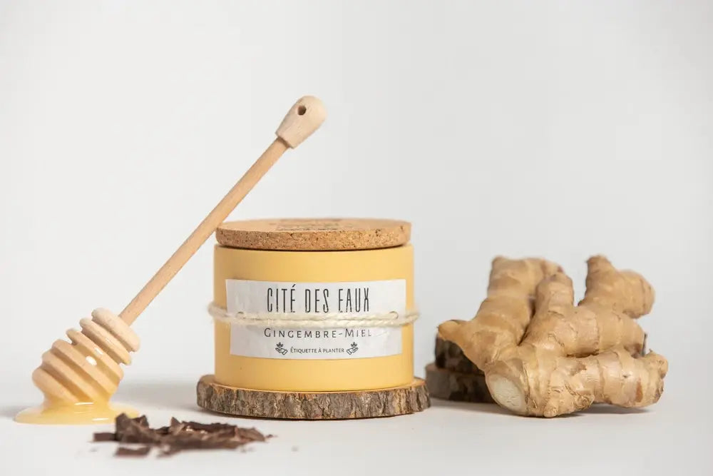 CITÉ DES EAUX (Gingembre Miel)Artisanales & Naturelles | 30h | Jaune