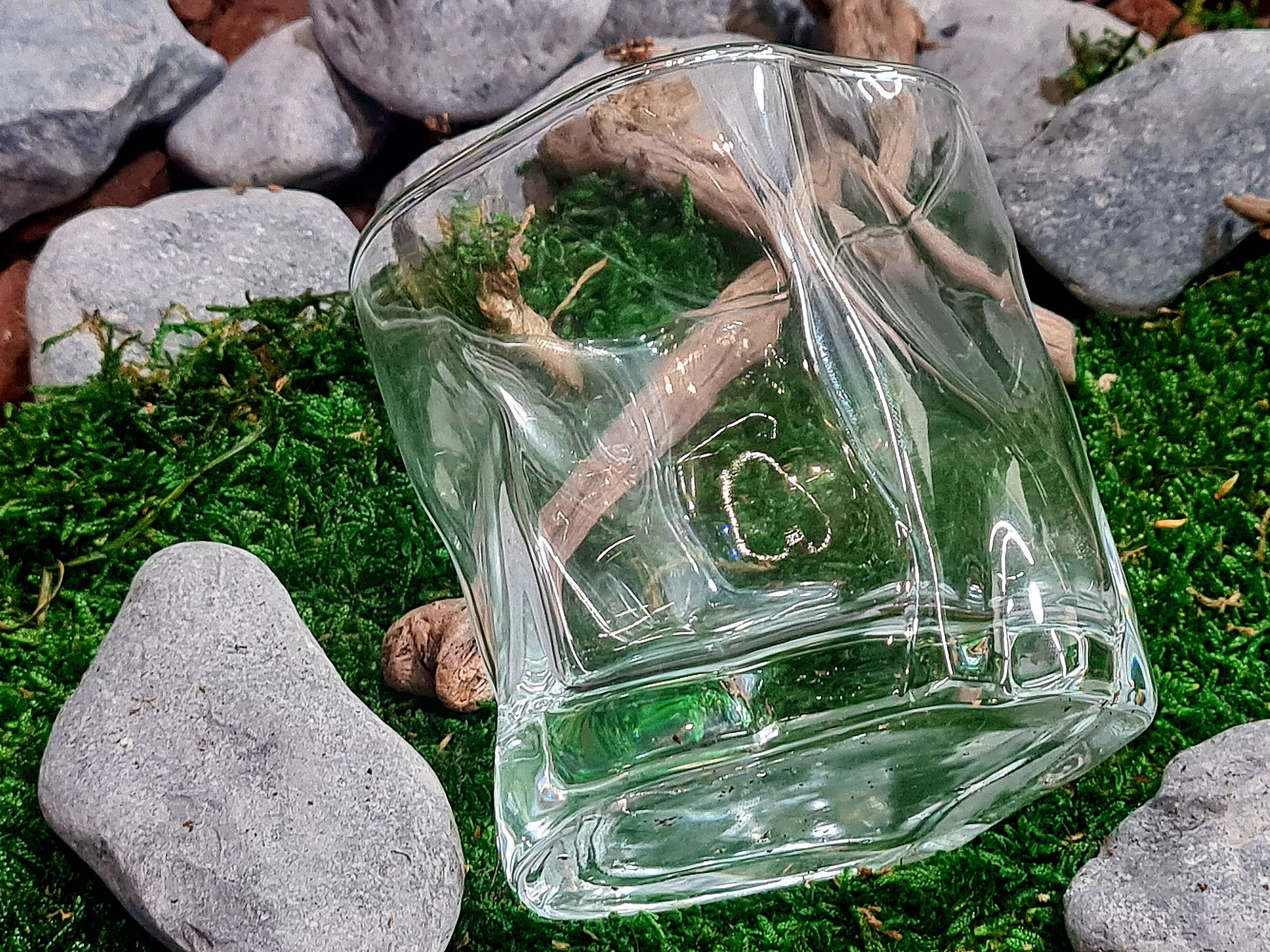 Verres japonais avec boîte cadeau, glaçons en granit et sous-verres | 369: Deux verres