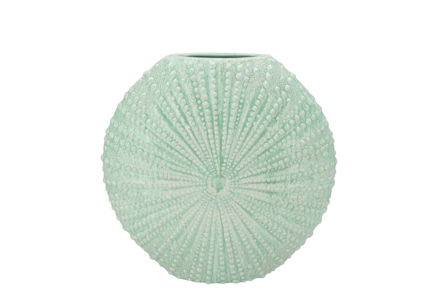 Vase Oursin Vert d'eau