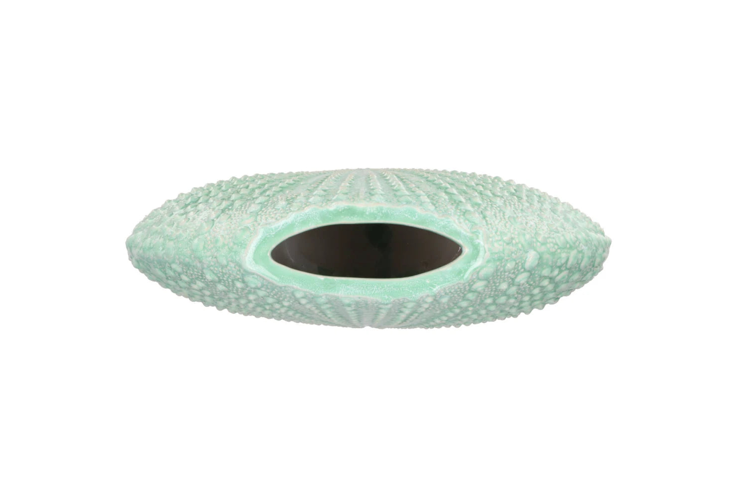 Vase Oursin Vert d'eau