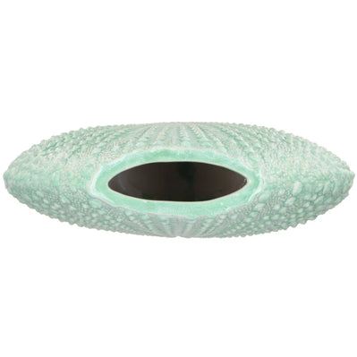 Vase Oursin Vert d'eau