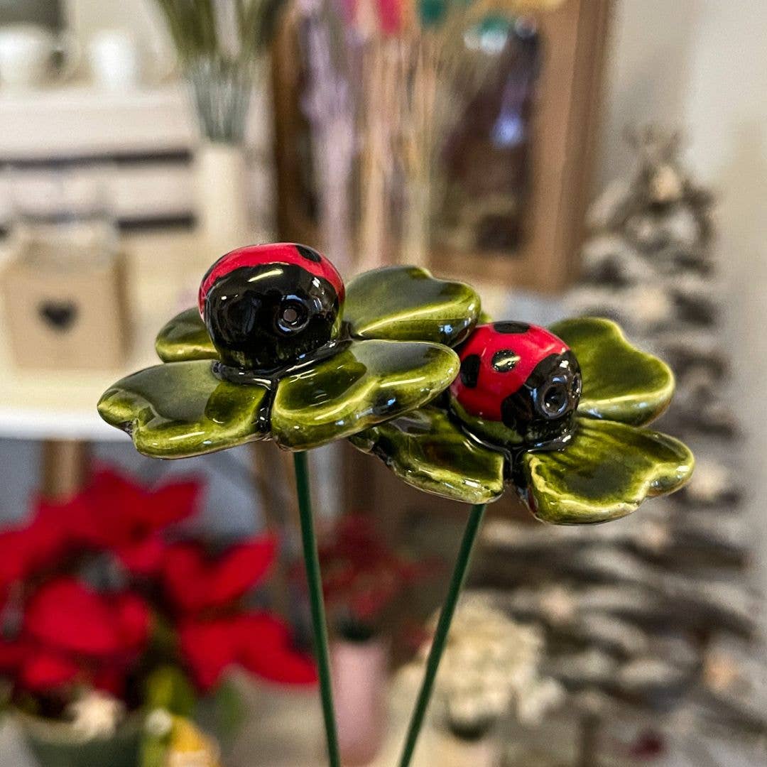 Coccinelle porte-bonheur sur une feuille de trèfle