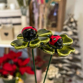 Coccinelle porte-bonheur sur une feuille de trèfle