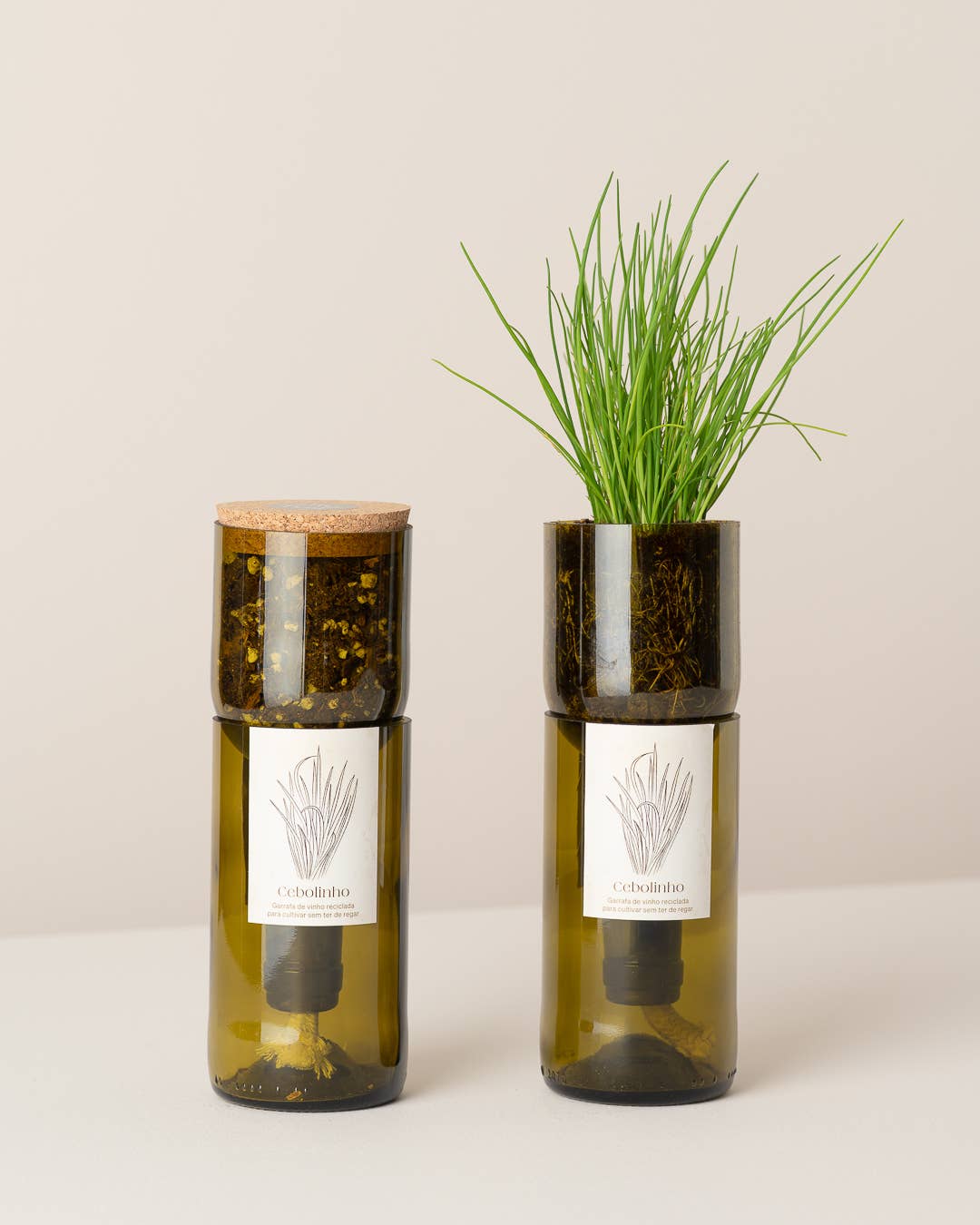 Grow Bottle Ciboulette