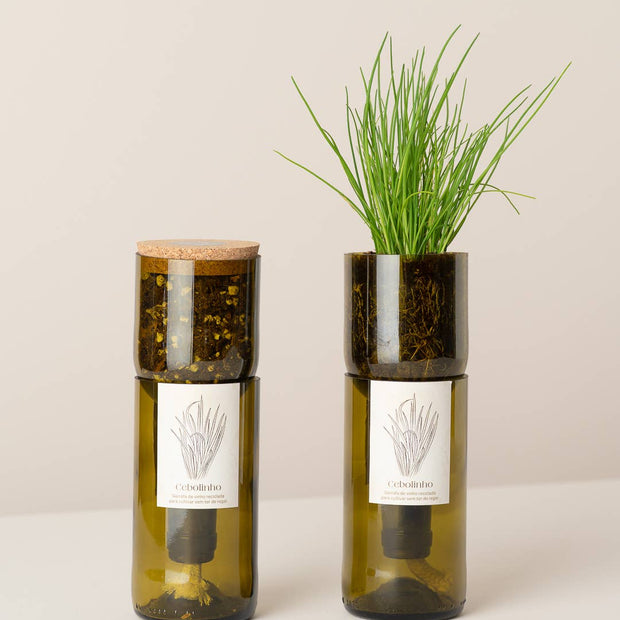 Grow Bottle Ciboulette