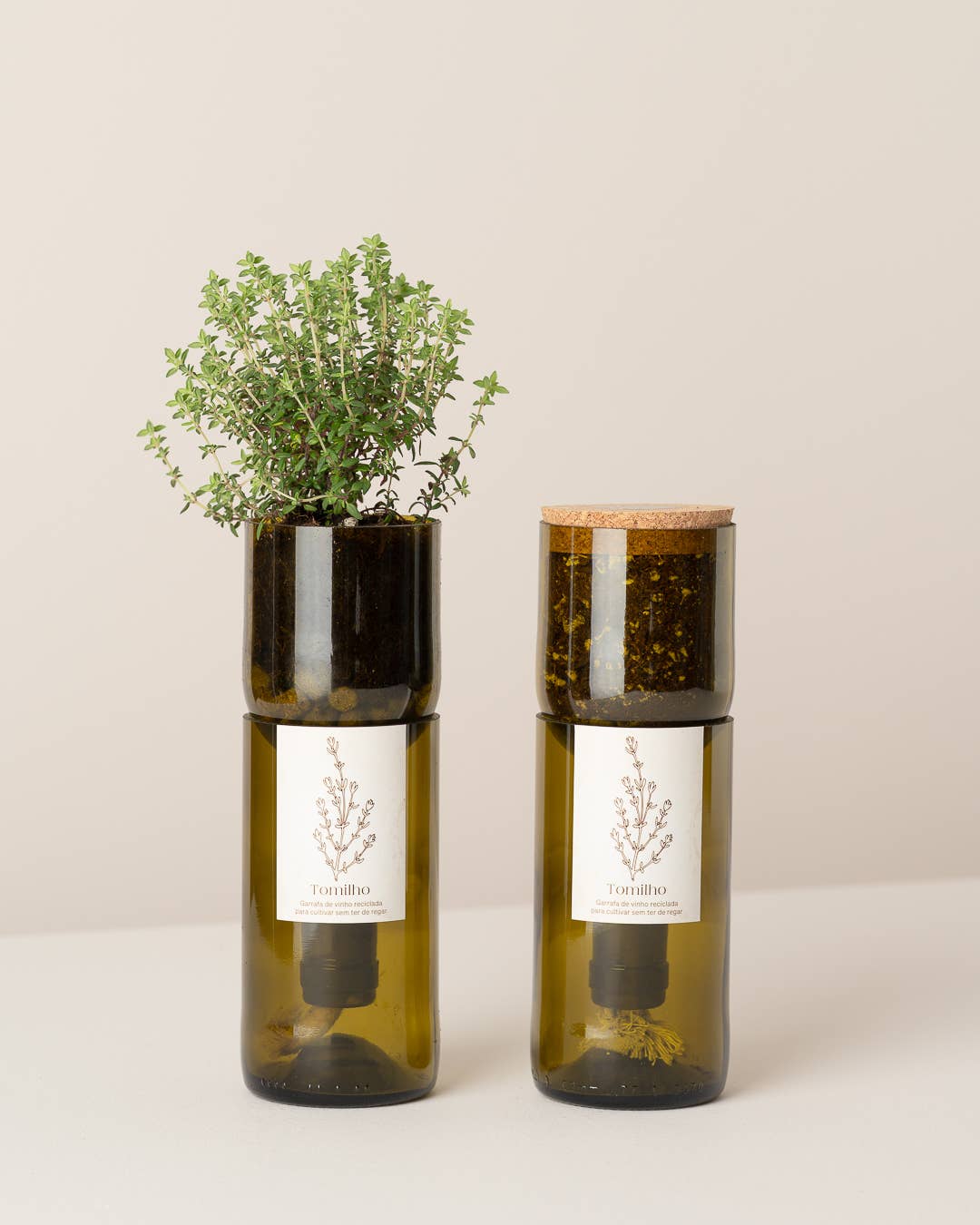 Grow Bottle Thym