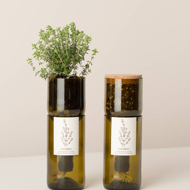 Grow Bottle Thym