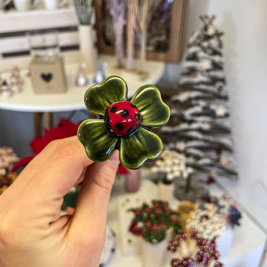 Coccinelle porte-bonheur sur une feuille de trèfle