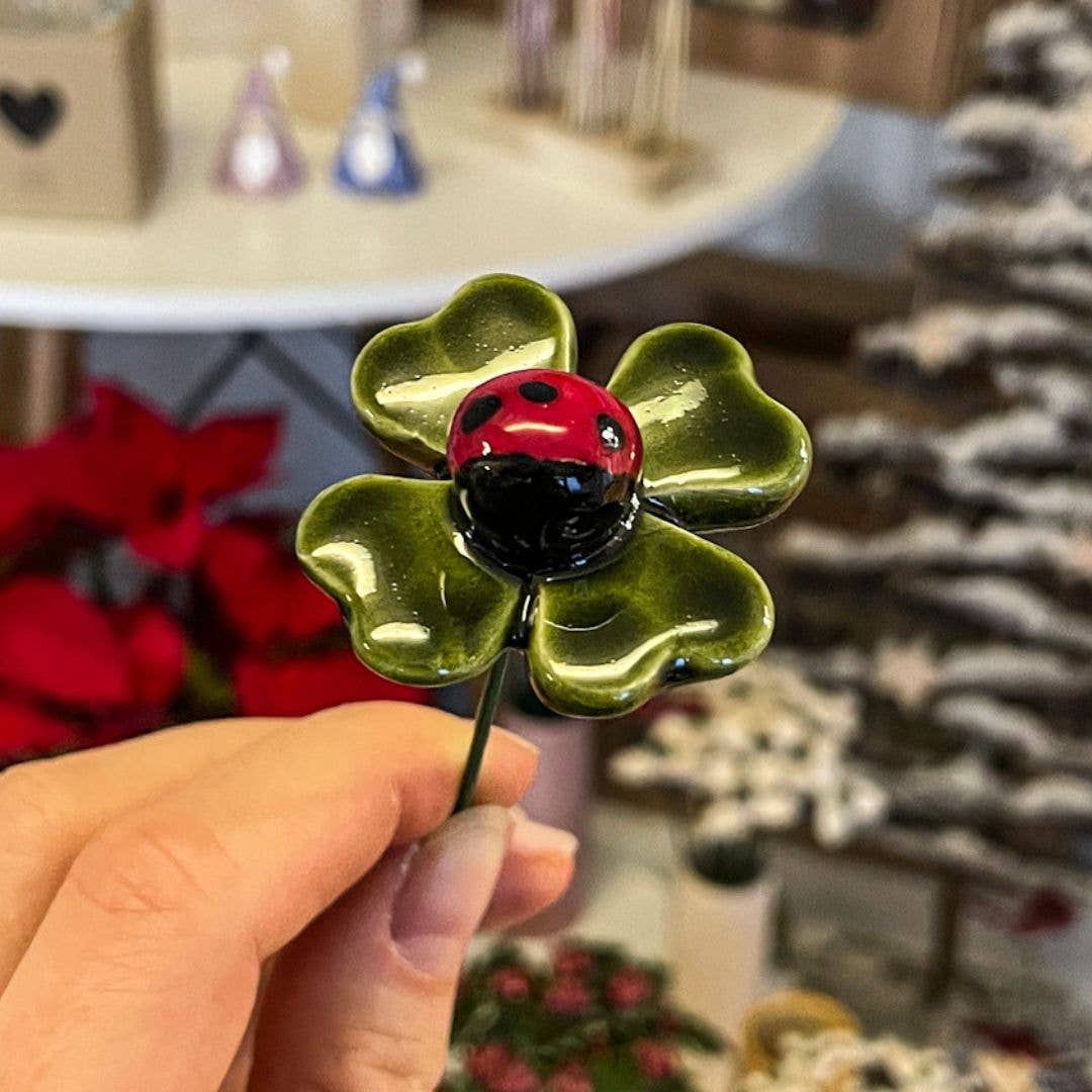 Coccinelle porte-bonheur sur une feuille de trèfle
