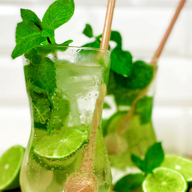Meilleurs verres à Mojito du monde