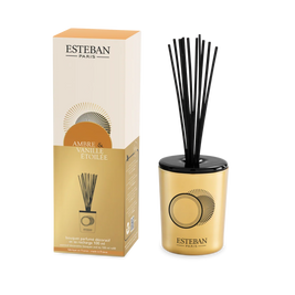 Bouquet parfumé décoratif - Ambre & Vanille étoilée - rechargeable - 100mL
