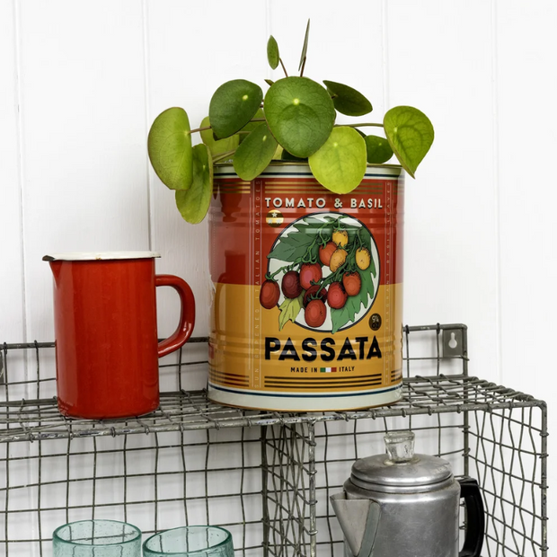Grande boîte  de conservation - PASSATA & BASIL