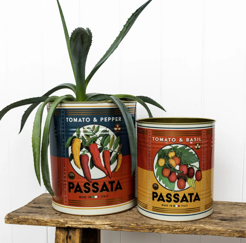 Grande boîte  de conservation - PASSATA & BASIL