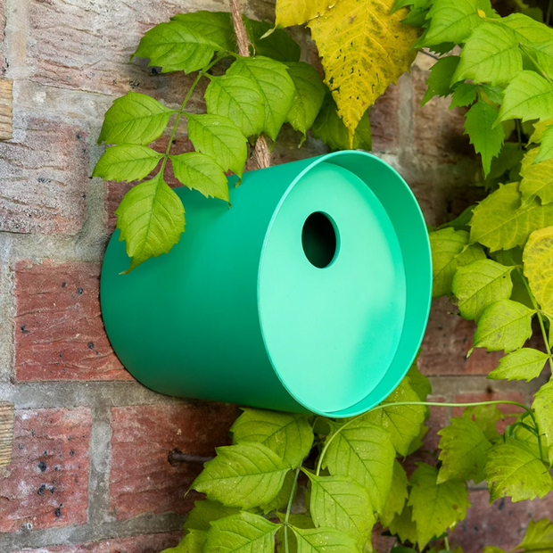 Nichoir rond en fibre de bambou - Vert