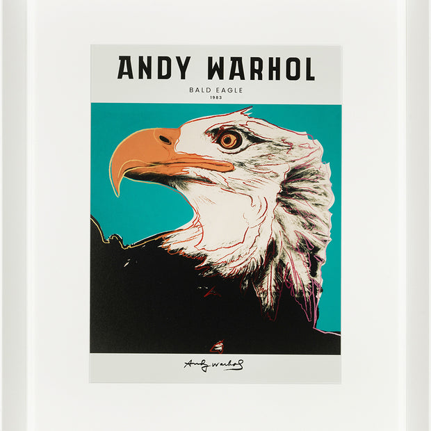 Cadre Andy Warhol Collection - AIGLE