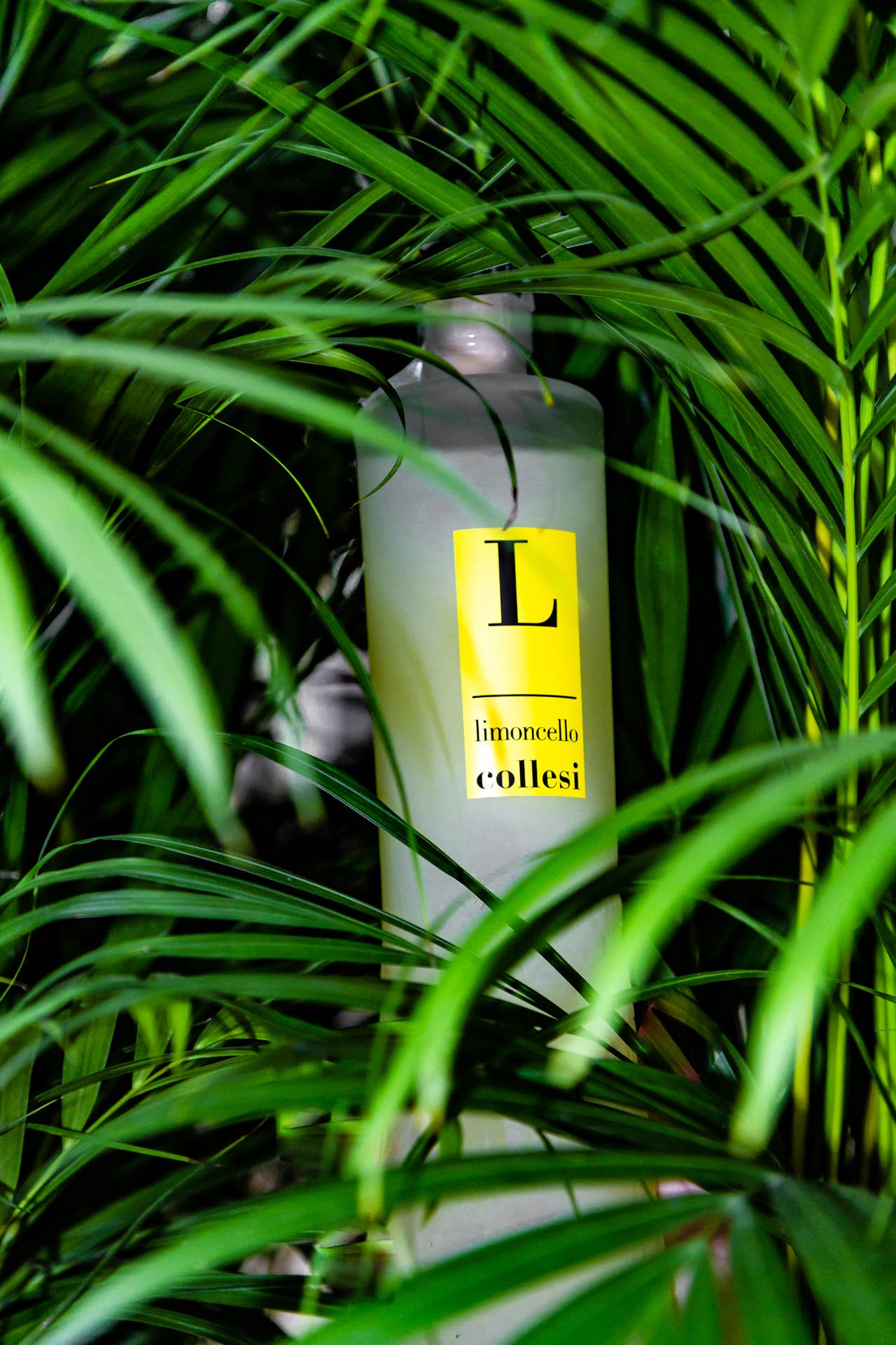 LIMONCELLO COLLESI 700ML 30%