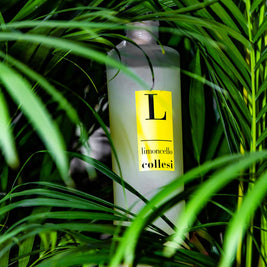 LIMONCELLO COLLESI 700ML 30%
