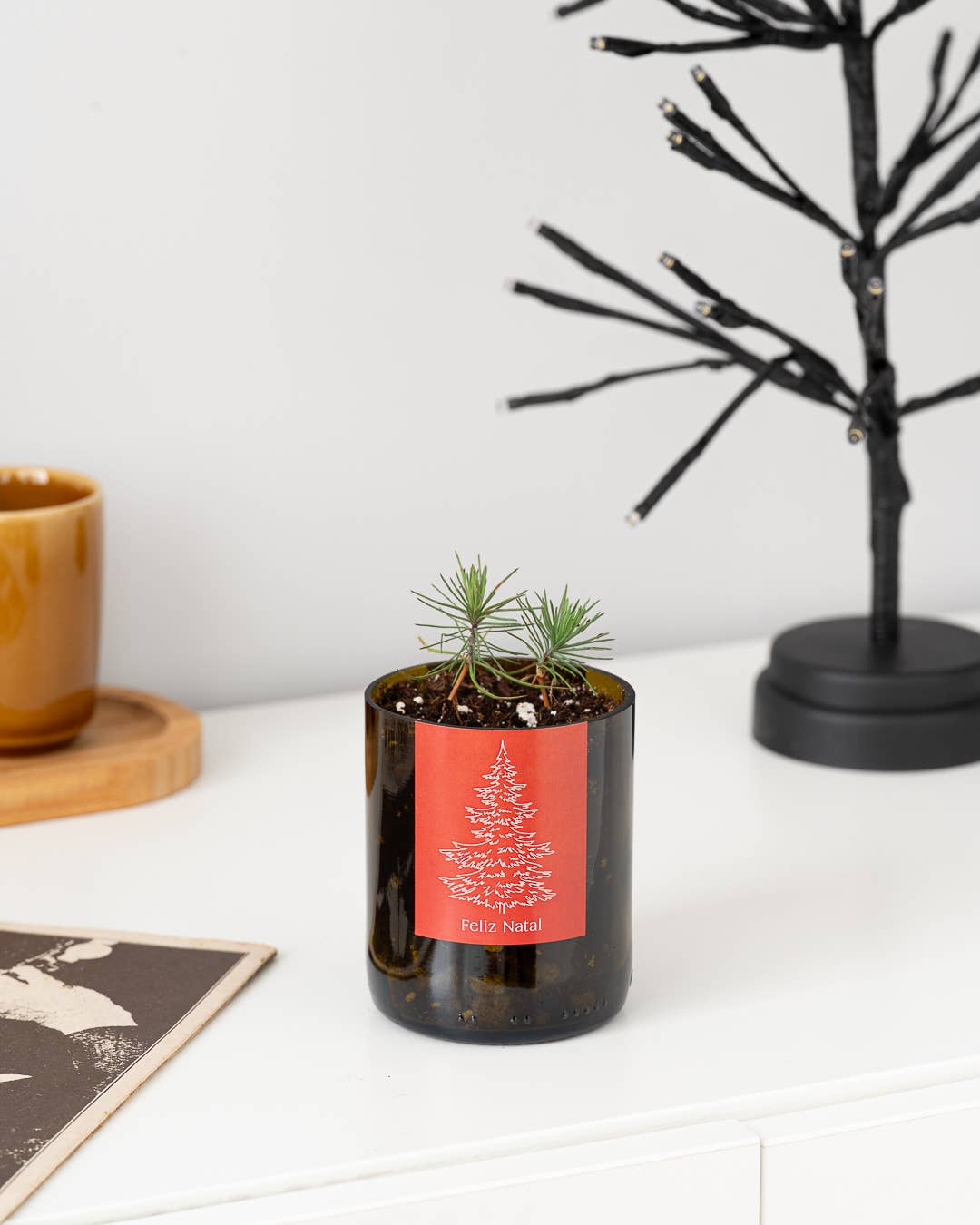 Jardin en Bouteille Joyeux Noël