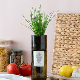 Grow Bottle Ciboulette