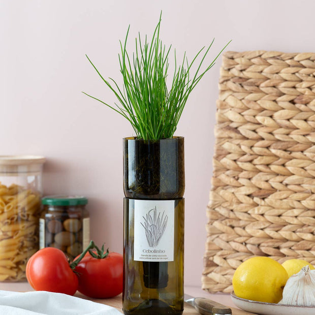 Grow Bottle Ciboulette