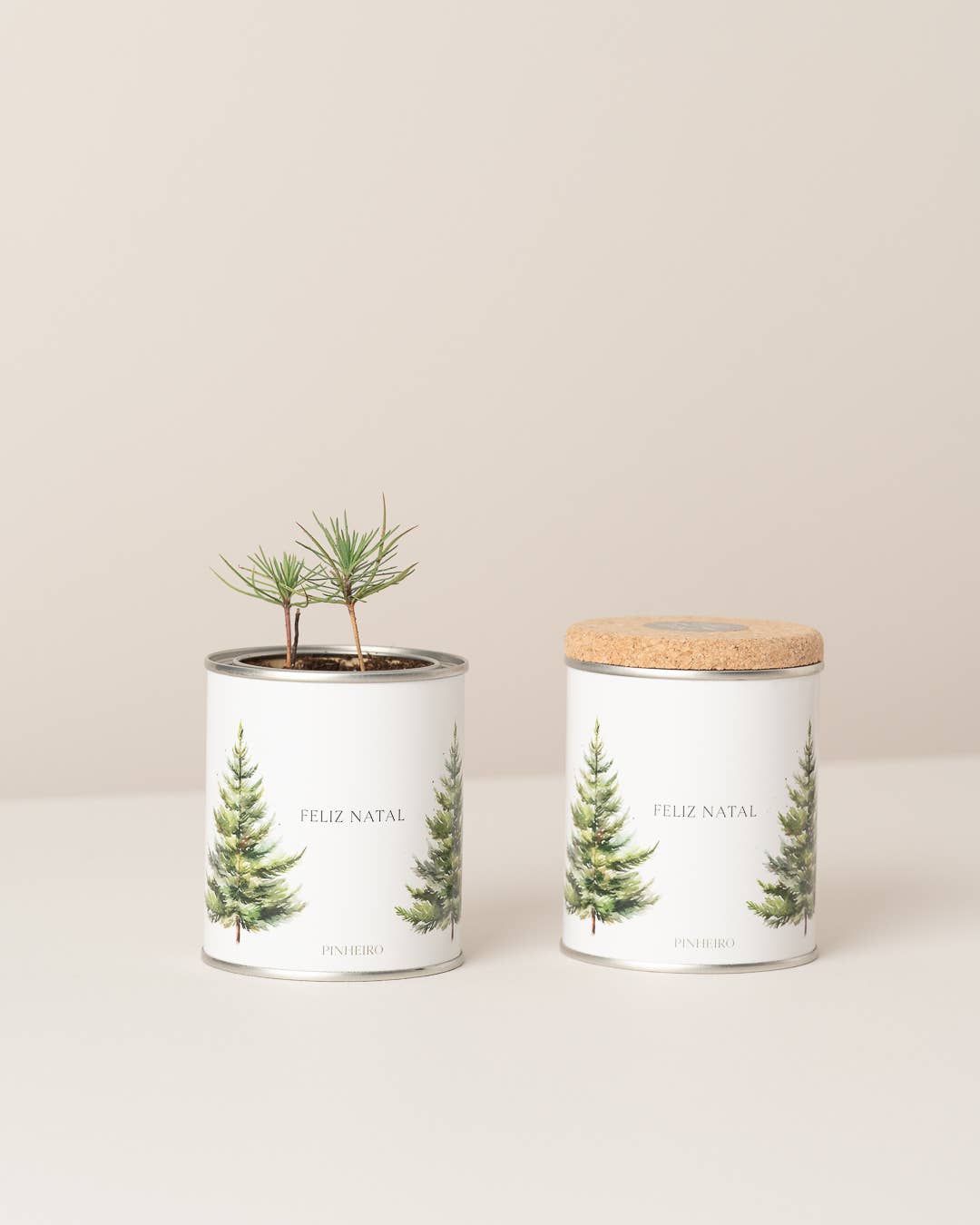 Jardin en boîte de conserve "Joyeux Noël" avec pin.