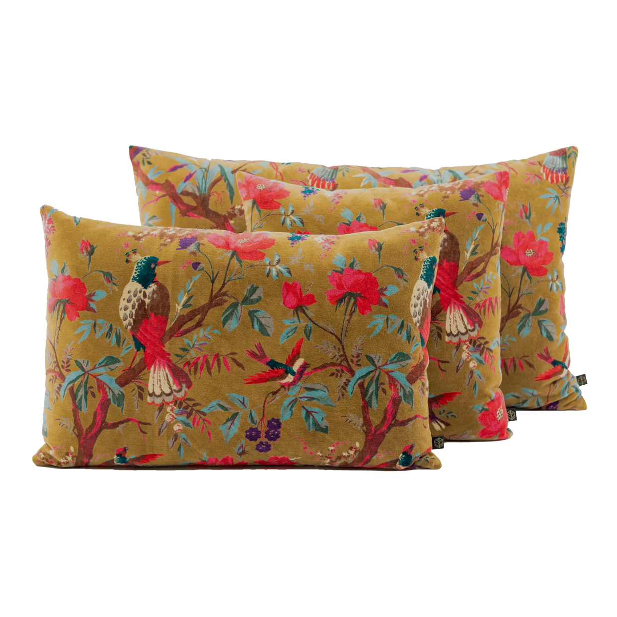 HOUSSE DE COUSSIN BIRDY
