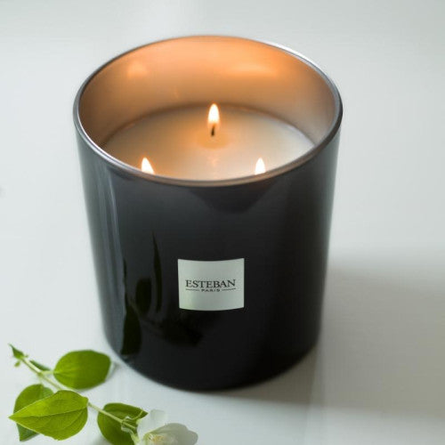 Bougie décorative grand format 450gr - TECK & TONKA