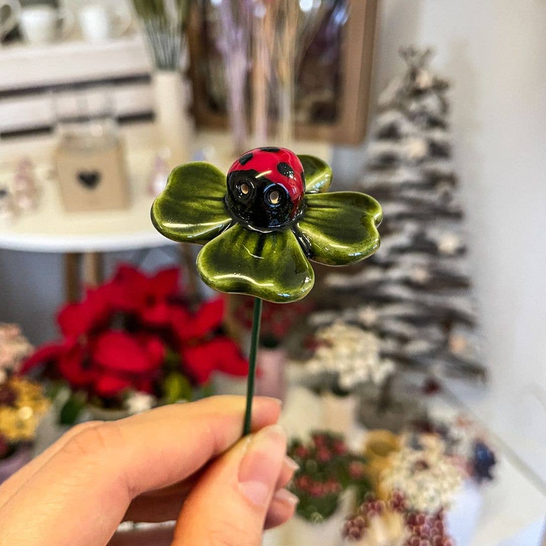 Coccinelle porte-bonheur sur une feuille de trèfle