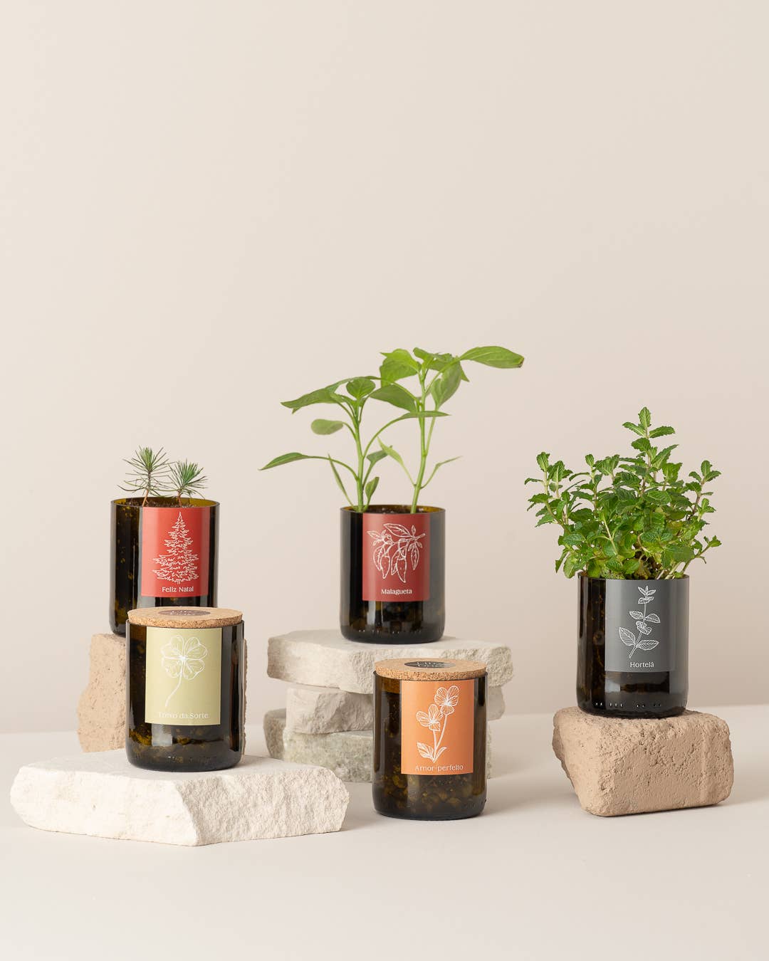 Jardin en Bouteille Joyeux Noël