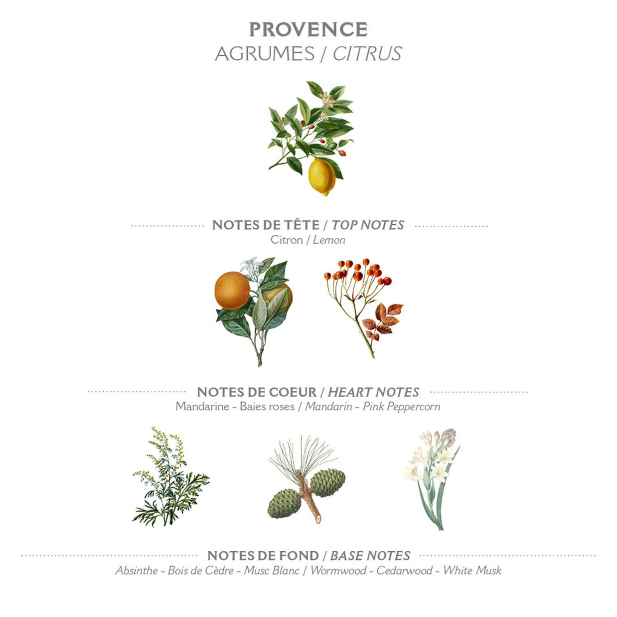 Savon liquide de Marseille 500ml | Provence